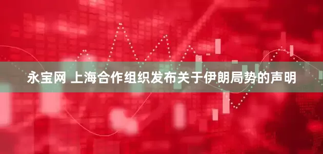 永宝网 上海合作组织发布关于伊朗局势的声明