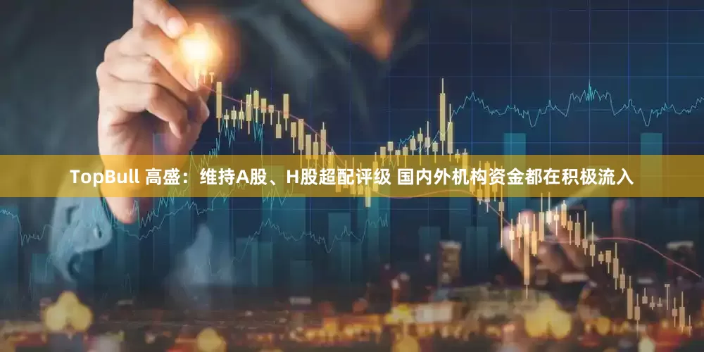 TopBull 高盛：维持A股、H股超配评级 国内外机构资金都在积极流入