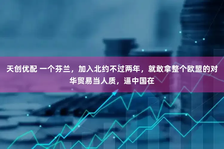 天创优配 一个芬兰，加入北约不过两年，就敢拿整个欧盟的对华贸易当人质，逼中国在